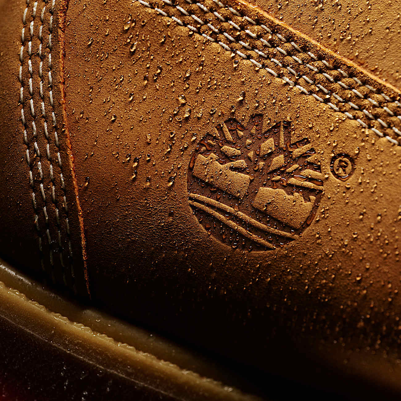 Men's Timberland® Premium 6-Inch Waterproof Boot